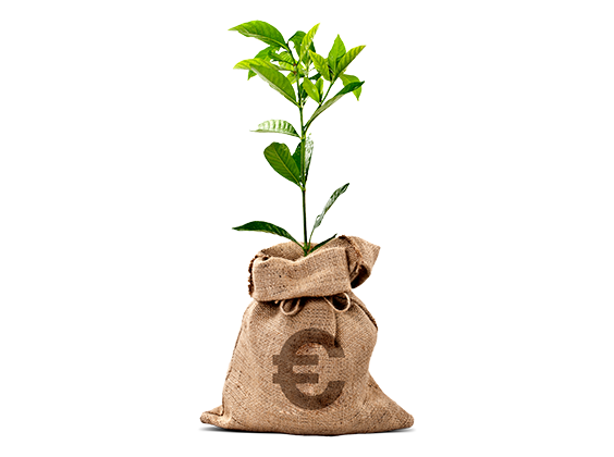 seguro particulares investimento verde